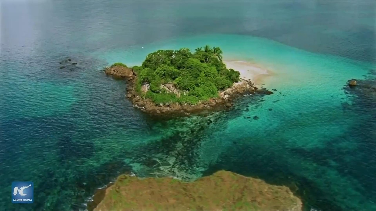 Científicos intercambian en Panamá conocimientos sobre las ciencias del mar