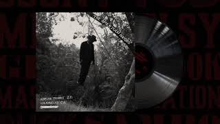 Dying on the Run - Adrian Younge