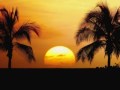 Stone Senses - Open Mind 