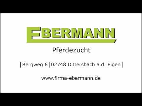 gekörter Hengst: Löwenberg von Lahnstein