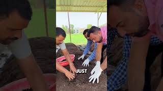 Download lagu She Reaches Into the Soil… And Pulls Out HUNDREDS of Worms Every Time! mp3