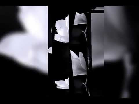 Keti khutsishvili -baiati.                                  ქეთი ხუციშვილი -ბაიათი