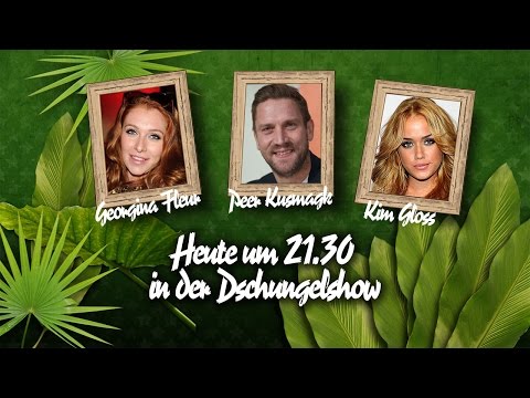 Die große BILD-Dschungelshow im Live-Stream - 22.01.2016
