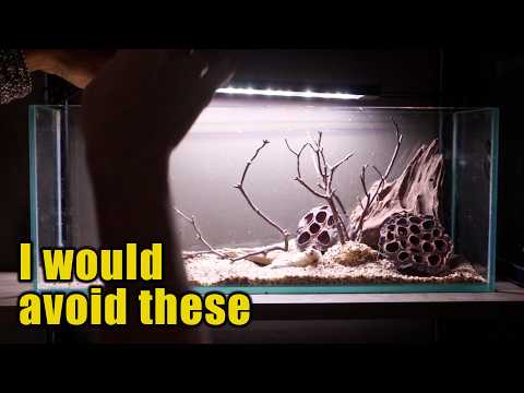 5 Nano Tank Setup Mistakes to Avoid | Beginner's Guide