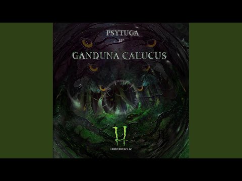 Into The Woods (Original Mix)