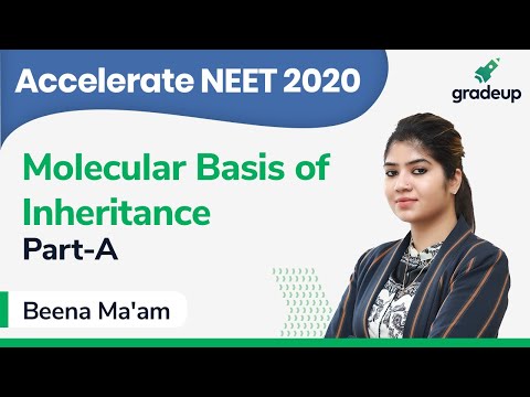 NEET 2020 | Class 30 | Botany | Molecular Basis of Inheritance Video