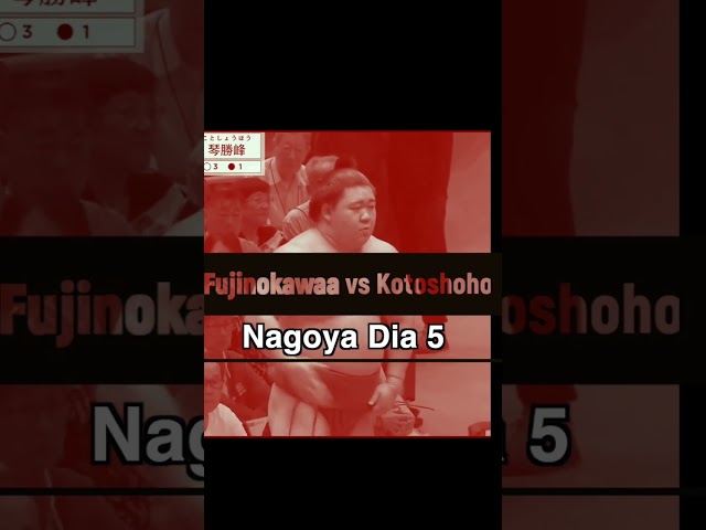 Vídeo relacionado con Torneo Vintage Grand Sumo Nagoya Wrestler Gyoji Camiseta