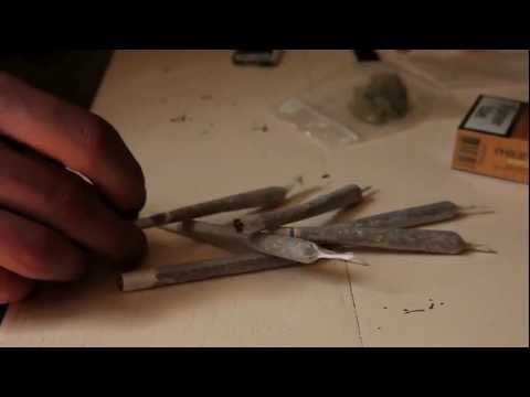 SHiSH x SKoNK [TeaSeR]