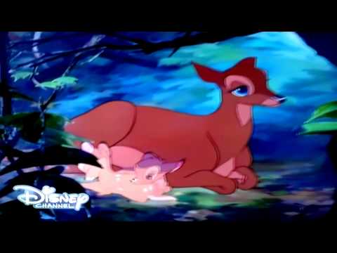 Bambi -- Love Is a Song (Reprise) (Malay)