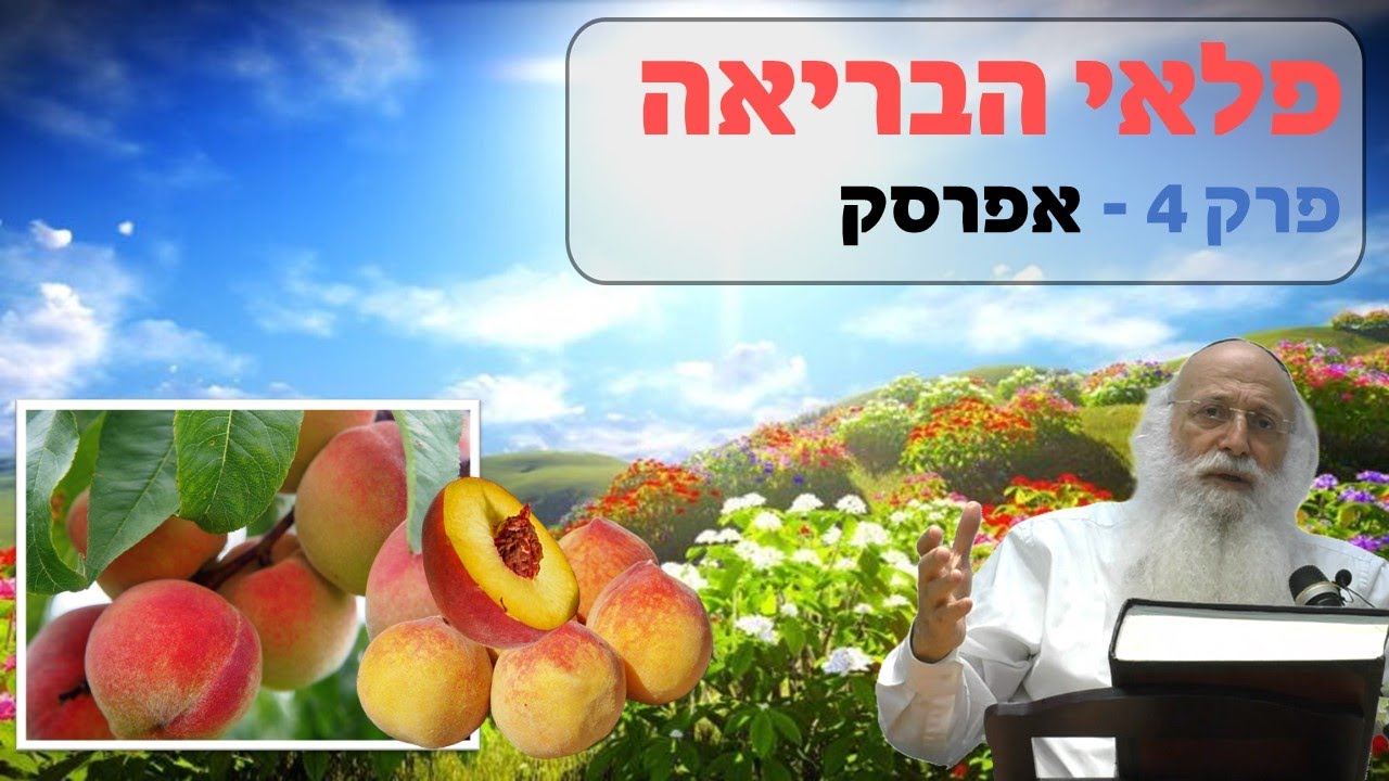 פלאי הבריאה | פרק 4 - אפרסק | הרב יהודה עמית.
