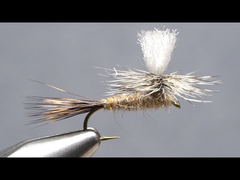 Hare's Ear Parachute