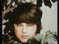 THE BEACH BOYS - walk on by - 1968