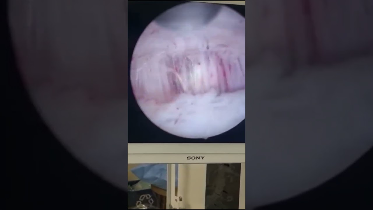 Carlos Alberto González Espinosa-8