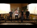 Exotic Animal Petting Zoo - Pharmakokinetic 