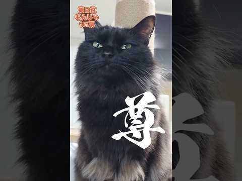 第二回最推しグランプリ結果発表