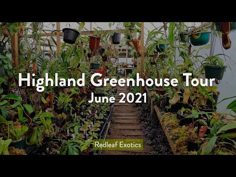Highland Greenhouse Tour - June 2021