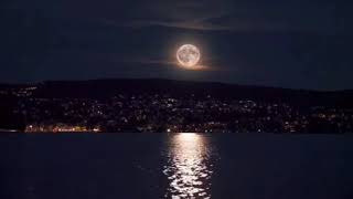 حالات واتس اب موسيقى هادئة