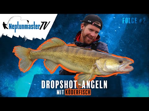 Dropshot-Angeln vom Ufer mit Köderfisch - Folge #2