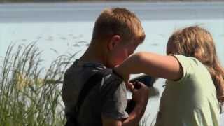 preview picture of video 'Odsherred Naturskole - Livet på det lave vand'