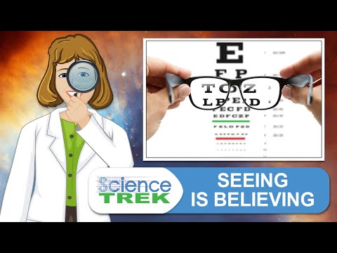 Eyes: Seeing is Believing | Science Trek