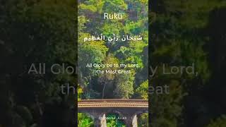 Download lagu Ruku/ Subhana Rabbiyal Azeem mp3 Download lagu Ruku/ Subhana Rabbiyal Azeem mp3