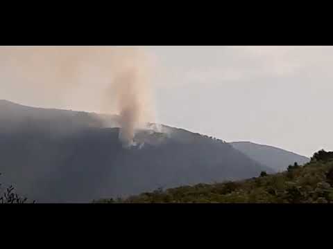 Požar Grabovac 25.4.2020.