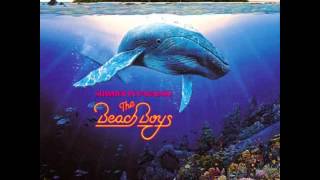 The Beach Boys - Slow Summer Dancin&#39; (One Summer Night)
