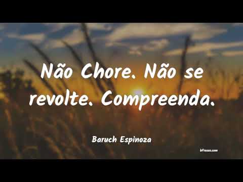 Frases de Baruch Espinoza