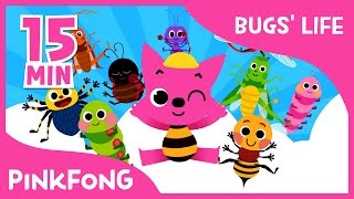 Bugs&#39; Life | Ants in My Pants and more | +Compilation | Bug Songs | Pinkfong Songs for Children