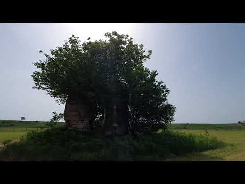 Ruinele Manastirii Baldovin-Sat Baldovinesti ,com Ciolanesti -Teleorman -Romania