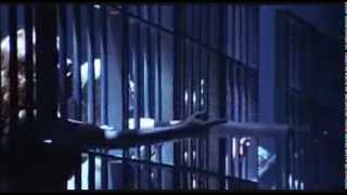 Cell Block Tango - Chicago