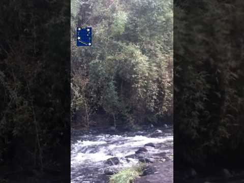 LAS CASCADAS - PUERTO OCTAY - SUR DE CHILE