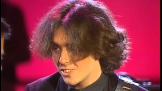 Dick Clark Interviews Icicle Works- American Bandstand 1984