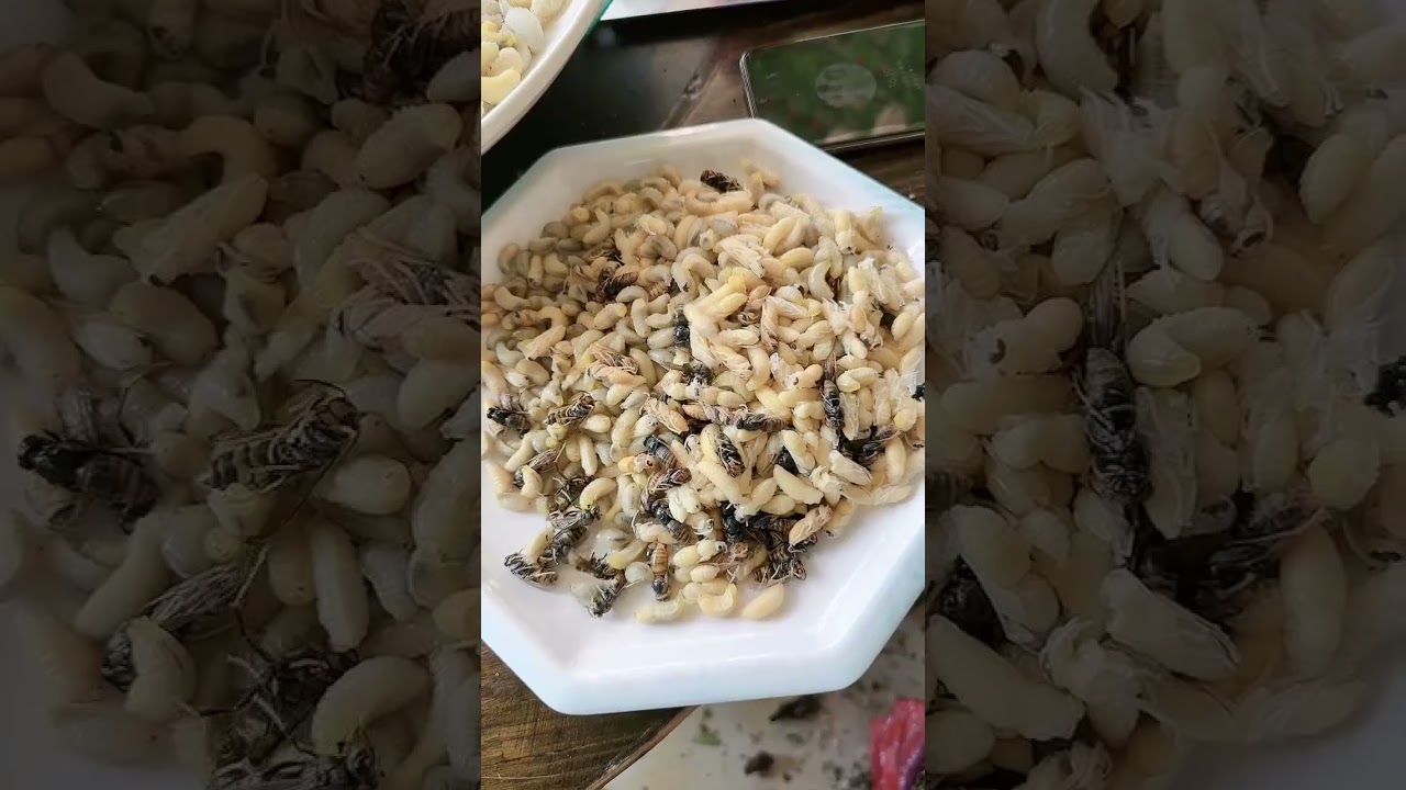 The sky turned to say goodbye to the heavy spring