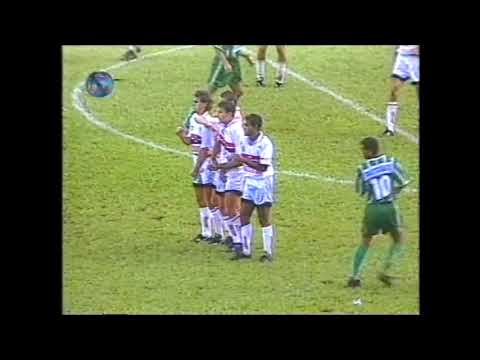 Botafogo-SP 0 x 8 Palmeiras - Campeonato Paulista 1996