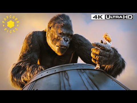 Kong's Tragic Death Scene | King Kong 4k HDR