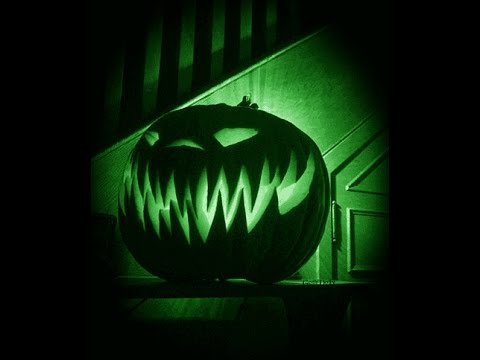 DimSon Pro & Vlad  - The Bearded Reduction (sound from Vlad)