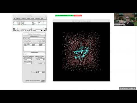 Mariano Spivak - Advanced visualization, figures and movies in VMD