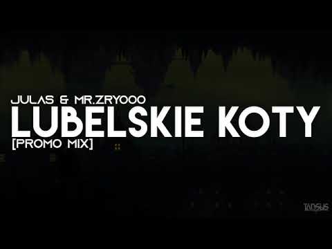 JULAS & MR ZRYOOO. - LUBELSKIE KOTY [PROMO-MIX]