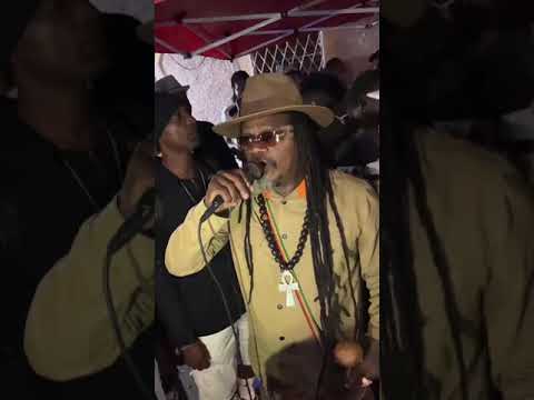 LUCIANO, JOSEY WALES, PETER METRO, BURRU BANTON, KING KONG WICKERMAN IN JUNGLE 2023