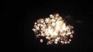 preview picture of video '2014 Swan Lake Fireworks'