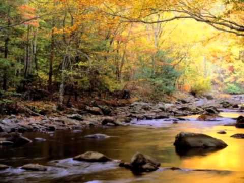 Hor Hilal- Ilahija o hfz-u Hadzimulicu