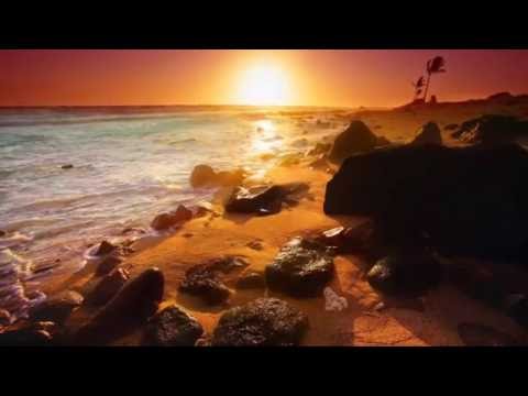 Xin mãi là gừng cay - Hoàng Hoa