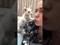 Cat Lover Funny Cats Compilation FunnyCats 3685