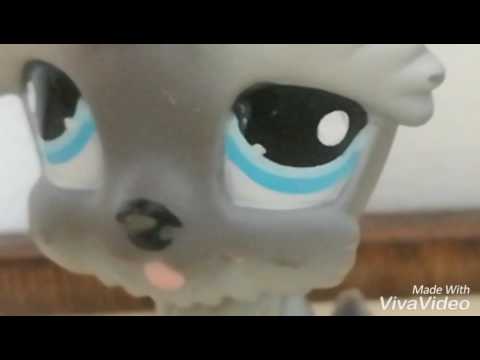 Mä hiihdän music WT/Vili cat #seko video