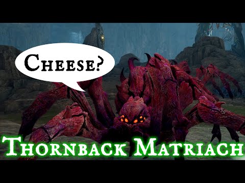 How To Cheese The Thornback Matriarch (Giant Red Spiders Bosses) Hogwarts Legacy Jackdaws Rest