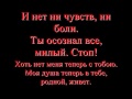 Софья Лукьянова - Ты убил меня сам (текст) .wmv 