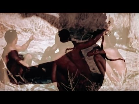 Amai Kuda - We Can Do It ft. Y, Kinnie Starr & M1 (Official Video)