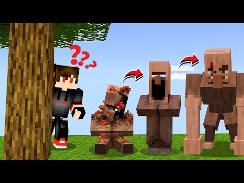 Villager ALL PHASES in Minecraft 😮