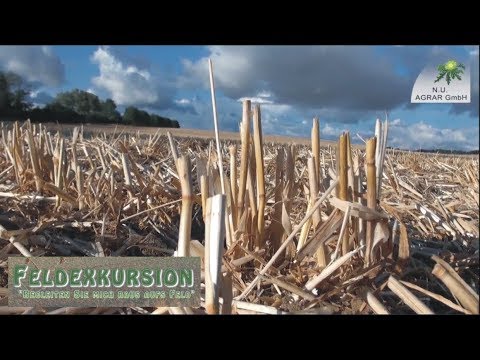 96. Feldexkursion: nach der Gerstenernte folgt die Stoppelbearbeitung - NU Agrar, 27.06.2018